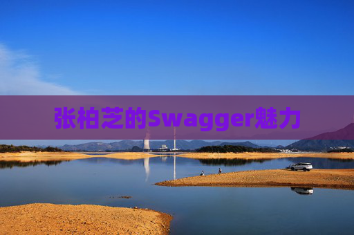 张柏芝的Swagger魅力